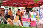 IMG_2236